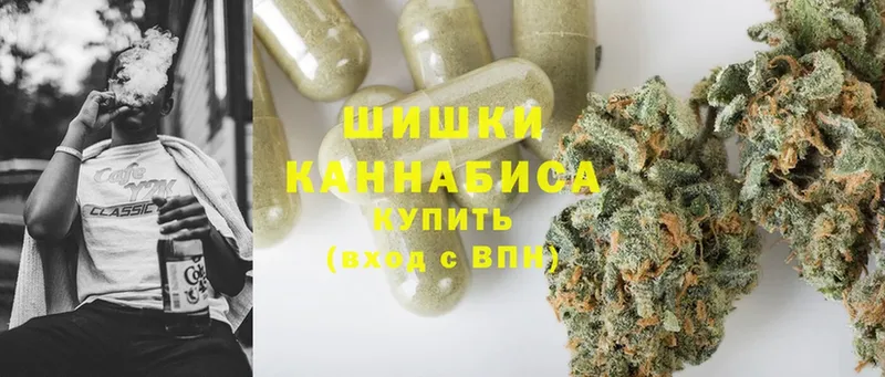 Шишки марихуана OG Kush  Прохладный 